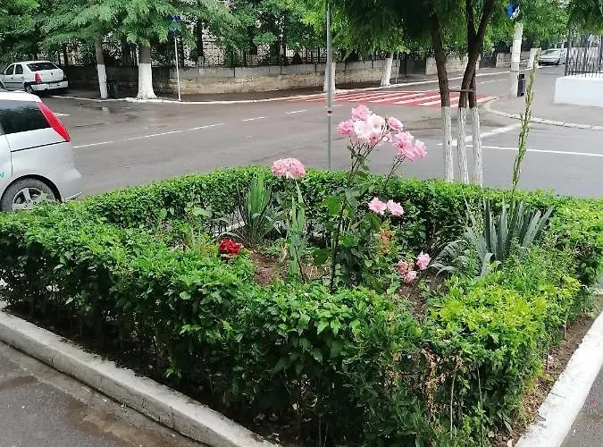 Mara Studio * Köstence